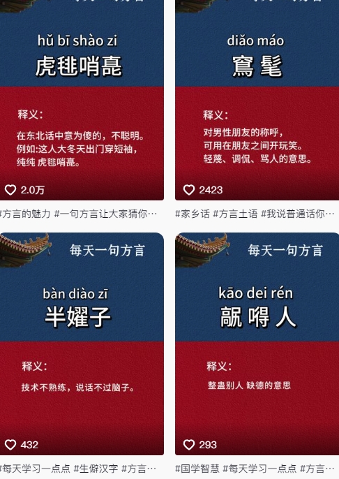 抖音最新涨粉玩法,图文方言暴力涨粉实操,126作品涨粉11W-淘金日记