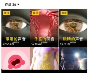 抖音坚果3D动画科普项目，撸视频号分成和抖音伙伴计划，适合零基础小白-淘金日记