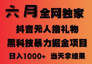 25年6月抖音无人直播最新暴力撸音浪掘金,小白可做,可批量矩阵放大,长期稳定日入1k+【揭秘】-淘金日记