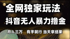 全网独家玩法抖音无人暴力撸金，月入3W，有手就行，当天拿结果【揭秘】-淘金日记