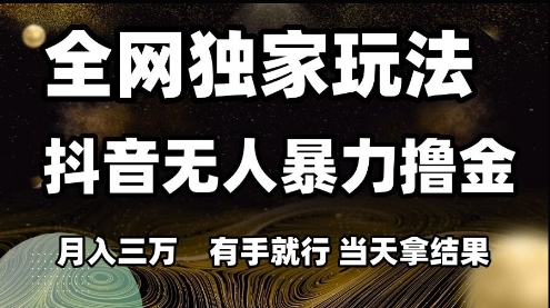 全网独家玩法抖音无人暴力撸金，月入3W，有手就行，当天拿结果【揭秘】-淘金日记