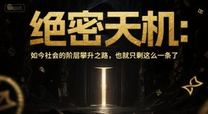付费文章:绝密天机:如今社会的阶层攀升之路,也就只剩这么一条了-淘金日记