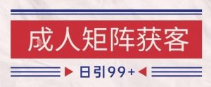 小红书某音橙人赛道引流获客，自热矩阵日引200+【揭秘】-淘金日记
