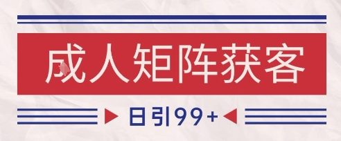 小红书某音橙人赛道引流获客,自热矩阵日引200+【揭秘】-淘金日记