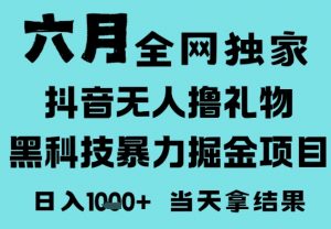 25年6月高爆抖音无人直播最新撸音浪掘金项目,门槛低小白可做,无脑日入1k,可矩阵放大【揭秘】-淘金日记