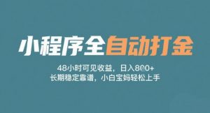 小程序全自动打金,48小时可见收益,日入多张,长期稳定靠谱,小白宝妈轻松上手【揭秘】-淘金日记