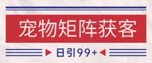 小红书某音宠物赛道引流获客 自热矩阵日引200+【揭秘】-淘金日记