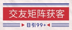 小红书某音交友赛道引流获客 自热矩阵日引200+【揭秘】-淘金日记