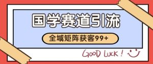 小红书某音国学赛道引流获客 自热矩阵日引200+【揭秘】-淘金日记