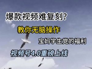 视频号4.0重磅上线，爆款视频难复刻？教你无脑操作宝妈学生党的福利【揭秘】-淘金日记