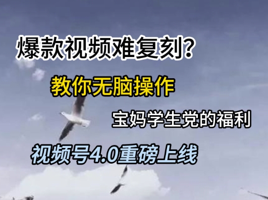 视频号4.0重磅上线，爆款视频难复刻？教你无脑操作宝妈学生党的福利【揭秘】-淘金日记