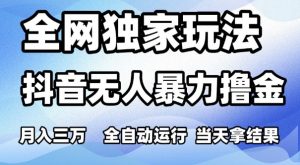 全网独家玩法,抖音无人暴力撸金,月入3W,全自动运行,当天拿结果,可矩阵【揭秘】-淘金日记