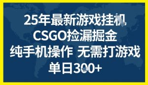 25年CSGO游戏搬砖，全自动挂G，不需要玩游戏，手机操作日入3张+【揭秘】-淘金日记