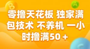 零撸天花板,独家满包技术 不养机 一小时撸满50+【揭秘】-淘金日记