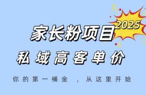 家长粉项目,一个可以长期变现暴利项目,私域高客单价,轻松完成你的人生第一桶金-淘金日记