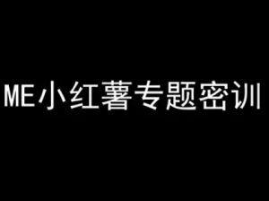 ME小红薯专题密训-小红书电商教程-淘金日记
