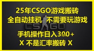 25年CSGO游戏搬砖，全自动运行，不需要玩游戏，手机操作日入3张(不是汇率搬砖)【揭秘】-淘金日记