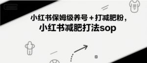 小红书保姆级养号+打减肥粉，小红书减肥打法sop-淘金日记