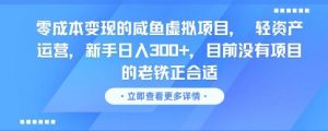 零成本变现的咸鱼虚拟项目， 轻资产运营，新手日入3张+，目前没有项目的老铁正合适-淘金日记