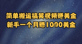 简单搬运搞笑视频挣美金,新手一个月入1k美金-淘金日记