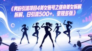 男粉引流项目4美女账号之健身美女拆解，日引流500+，变现多张-淘金日记
