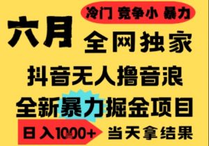 25年6月高爆抖音无人直播最新撸音浪掘金项目,小白可做,无脑日入1k+,门槛低可批量矩阵【揭秘】-淘金日记