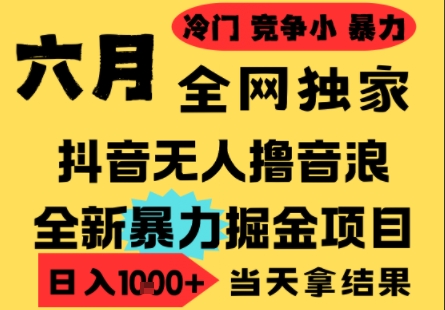 25年6月高爆抖音无人直播最新撸音浪掘金项目,小白可做,无脑日入1k+,门槛低可批量矩阵【揭秘】-淘金日记