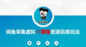 闲鱼采集虚拟IT课程资源另类玩法,干货满满-淘金日记