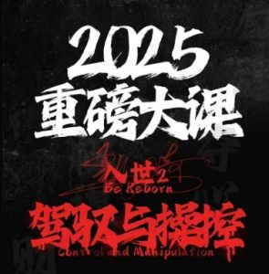 2025重磅大课,入世2,驾驭与控制-淘金日记