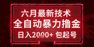 六月最新技术全自动暴力撸金,稳定日入2k+包起号,长期稳定【揭秘】-淘金日记