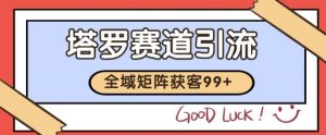 小红书某音塔罗赛道引流获客 自热矩阵日引200+【揭秘】-淘金日记