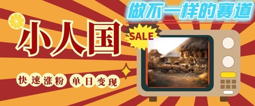 DeepSeek+绘图+视频制作小人国微观视频，小白轻轻松松上手，条条爆款，条条变现，单日就能收益-淘金日记