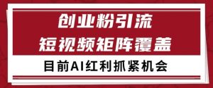 小红书某音创业赛道引流获客 自热矩阵日引200+【揭秘】-淘金日记
