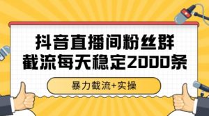 抖音直播间粉丝群暴力截流，一台电脑每天稳定2000条数据【揭秘】-淘金日记