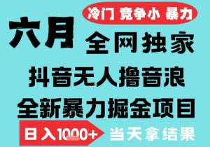 2025年6月高爆抖音无人直播最新撸音浪掘金项目,无脑日入1k+,低门槛小白可做,可矩阵放大【揭秘】-淘金日记