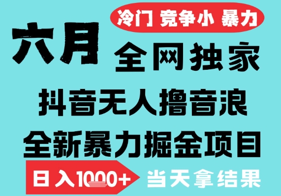 2025年6月高爆抖音无人直播最新撸音浪掘金项目,无脑日入1k+,低门槛小白可做,可矩阵放大【揭秘】-淘金日记
