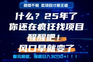 什么?25年你还在疯狂找项目做,醒醒吧,看完这些你全都懂了!【揭秘】-淘金日记