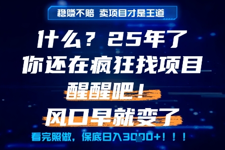 什么?25年你还在疯狂找项目做,醒醒吧,看完这些你全都懂了!【揭秘】-淘金日记