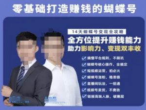 蝴蝶号专栏-视频号运营教程,零基础打造挣钱的蝴蝶号,14天蝴蝶号变现全攻略-淘金日记