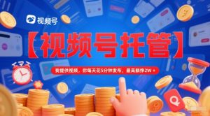 【视频号托管 】我提供视频,你每天花5分钟发布,最高躺挣2W+【揭秘】-淘金日记