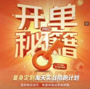 淘宝开单秘籍PRO，量身定制淘天实战陪跑计划，告别做店迷茫、快速突破运营瓶颈期（更新6月）-淘金日记