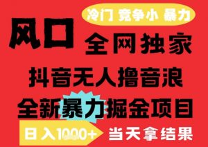 25年6月高爆抖音无人直播最新撸音浪掘金项目，解放双手小白可做，无脑日入1k+，门槛低【揭秘】-淘金日记