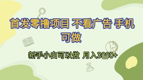 首发零撸项目 不看广告 手机可做 新手小白可以做 月入3k+【揭秘】-淘金日记