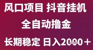 风口项目,六月最新玩法抖音无人挂G,全自动撸金,长期稳定 日入2k+【揭秘】-淘金日记
