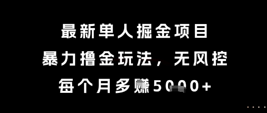 最新单人掘金项目，暴力撸金玩法，无风控，每个月多挣5k+【揭秘】-淘金日记