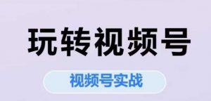 玩转视频号，视频号实战系列课-淘金日记