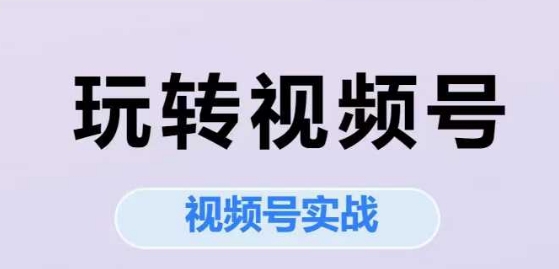 玩转视频号，视频号实战系列课-淘金日记