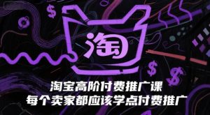 淘宝高阶付费推广课，每个卖家都应该学点付费推广-淘金日记