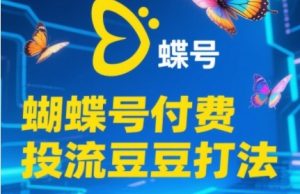 2025蝴蝶号付费投流豆豆打法，助新手快速掌握付费流量撬动自然流的核心玩法-淘金日记