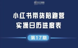 小红书第17期带货陪跑营,不囤货,无不直播,无不投流,通过选品+笔记内容+测品+笔记铺量+矩阵运营打爆款-淘金日记
